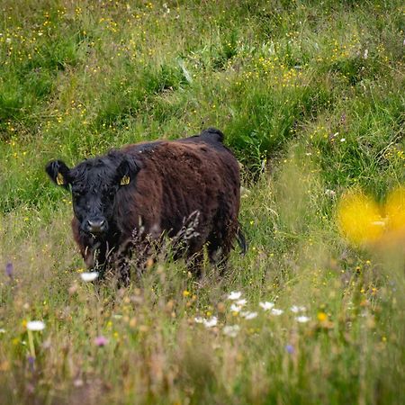 Naturlodge Gadestatt Kültér fotó