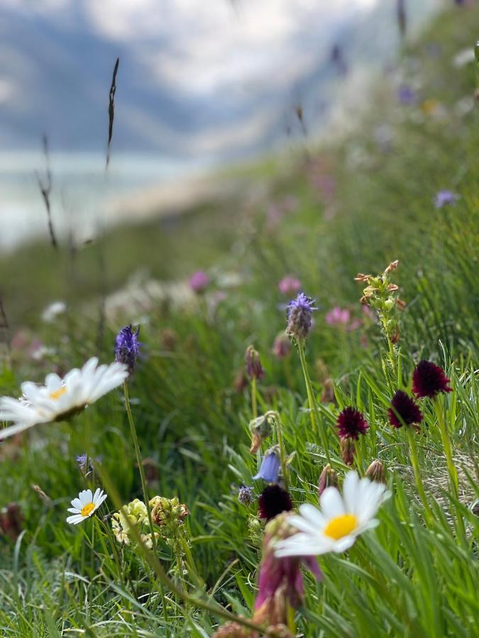 Naturlodge Gadestatt Kültér fotó